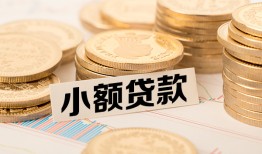 北京31哪里有小额贷款-北京31身份证贷款平台-北京31民间短借